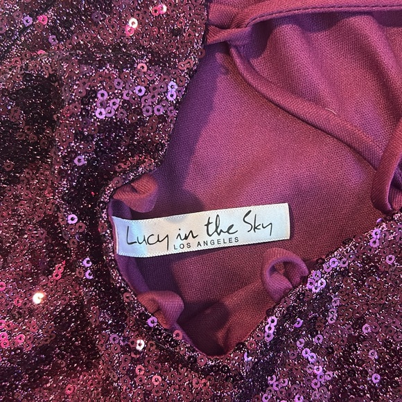 Purple Sheer Dress - Picture 5 of 5